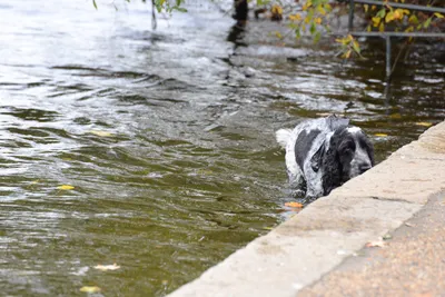 DSC_0529 (Large).JPG